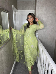 3PC PISTACHIO GREEN Embroidered Shalwar Kameez with Net duppatta fully stitched 3 piece suit F-60028